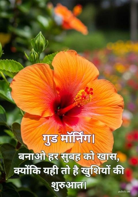 Good morning images with quotes in Hindi