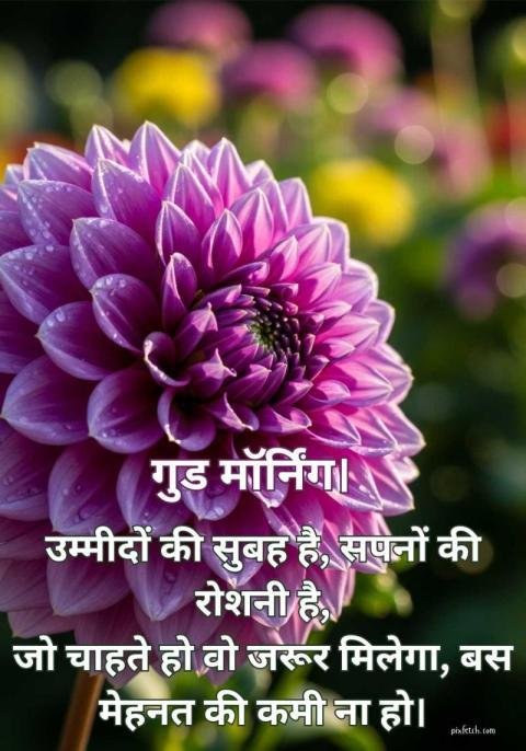 purple color flower with motivational good morning quotes