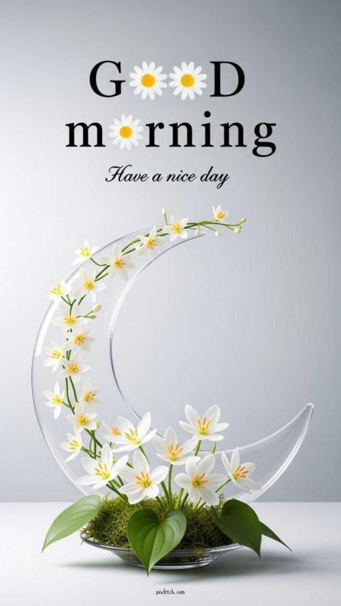 good morning image with blooming white flowers