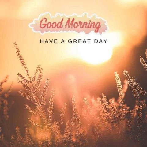 Serene and peaceful atmosphere with Good Morning, have a great day