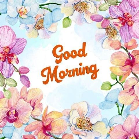 A watercolor illustration of a square frame with good morning