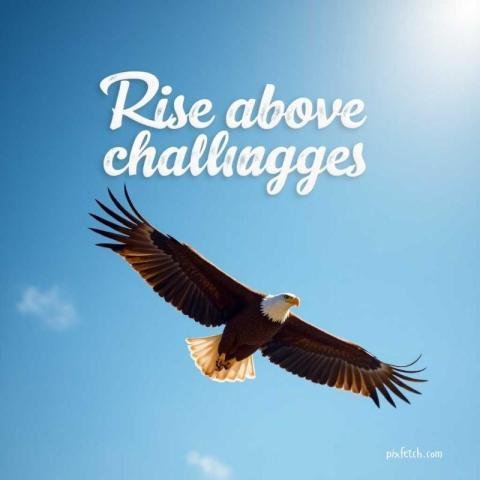 Motivational quotes for WhatsApp dp