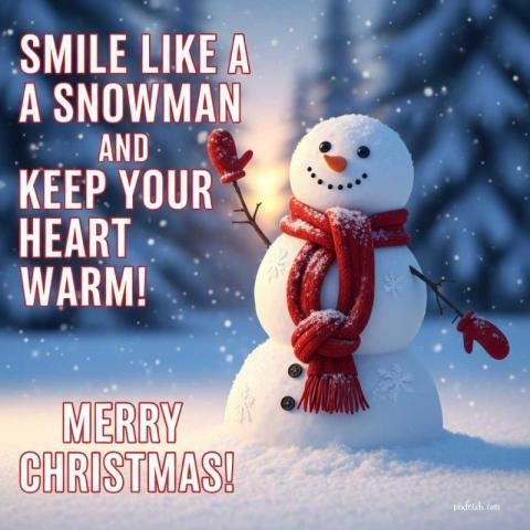 Heart touching merry Christmas wishes from snowman
