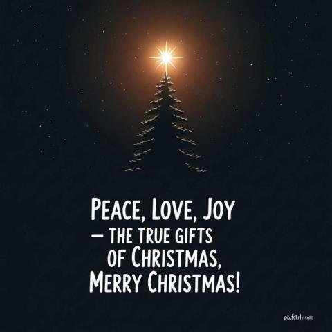 Bright star on a pine tree with merry Christmas wishes