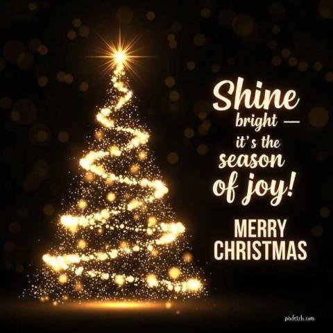 Merry Christmas photo