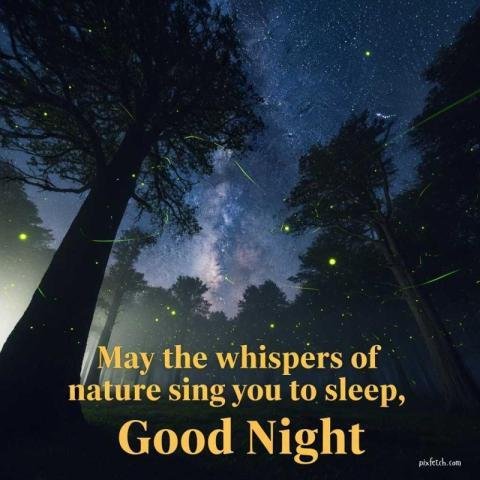 Free good night images with quotes