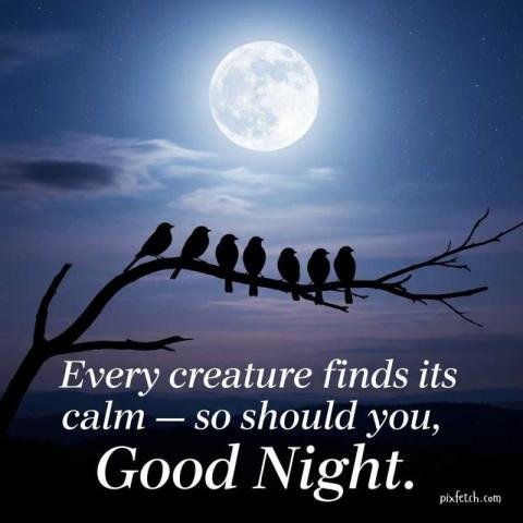 Special good night images