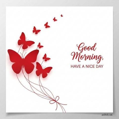elegant minimalistic Good morning greeting card design