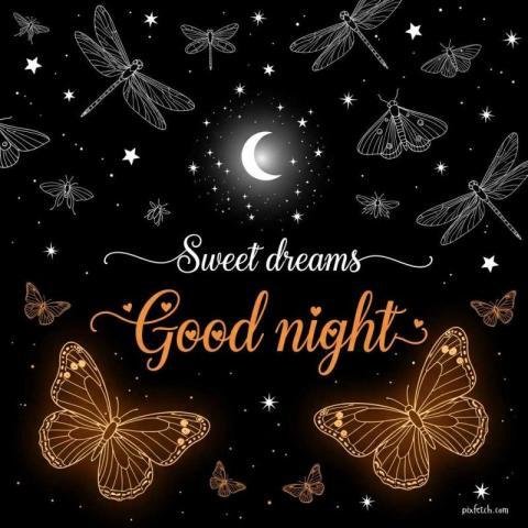 A dreamy good night wishes latest images for friends