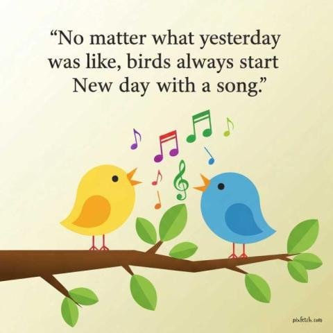 Uplifting inspirational quote image with birds