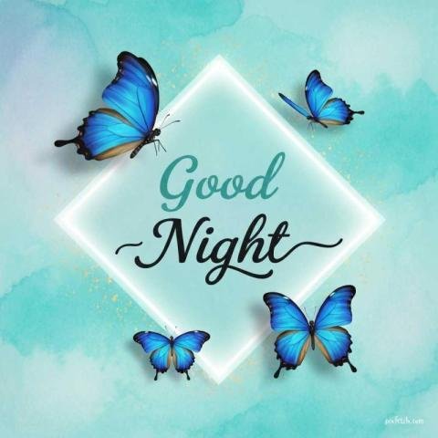 Pleasant good night wishes with butterfly