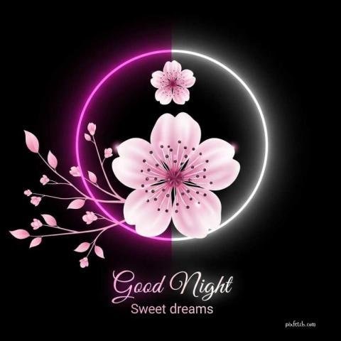 Good night status photo
