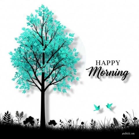 Best Good Morning Images For Whatsapp, Free Download HD