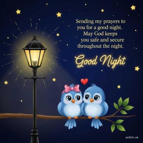 Beautiful good night free images