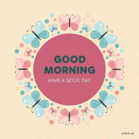 Good morning wishes creating a wreath like arrangement of butterflies