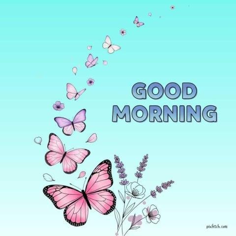 A gentle pink watercolor butterflies fades upward diagonally with good morning wishes