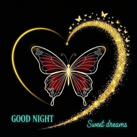 Good night butterfly images