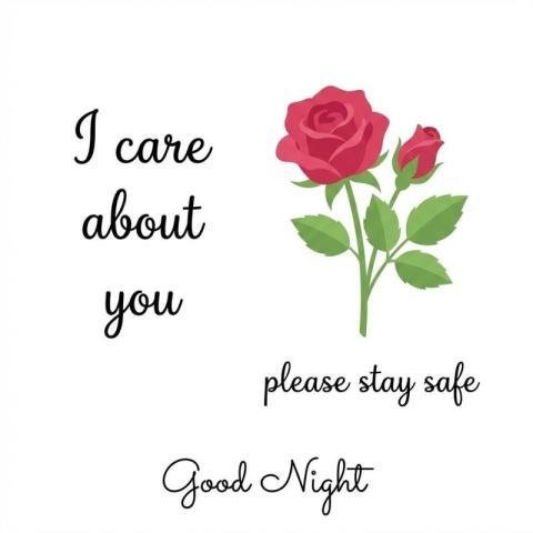 Good Night Care Message with Rose