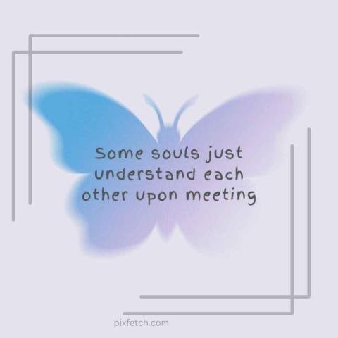 A  light blue butterfly with motivational quote