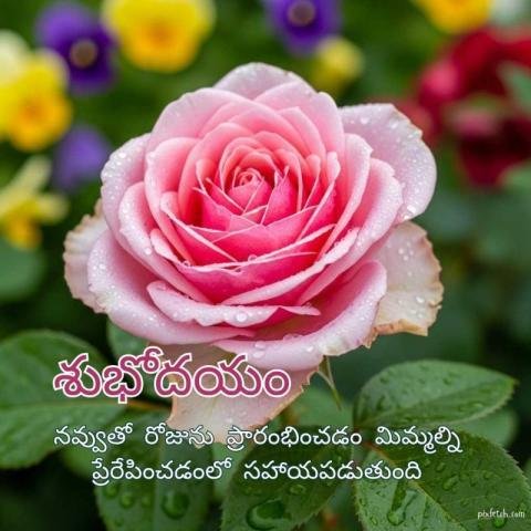 Good morning motivational quotes with flowers in telugu