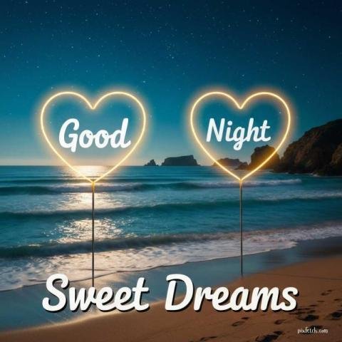 Good night beach scene under a star filled sky