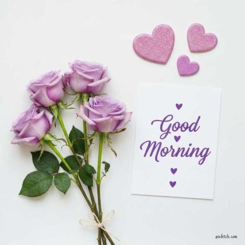 Good morning image with small bouquet of fresh lavender purple roses