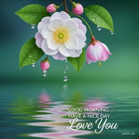 Good morning images for whatsapp friends