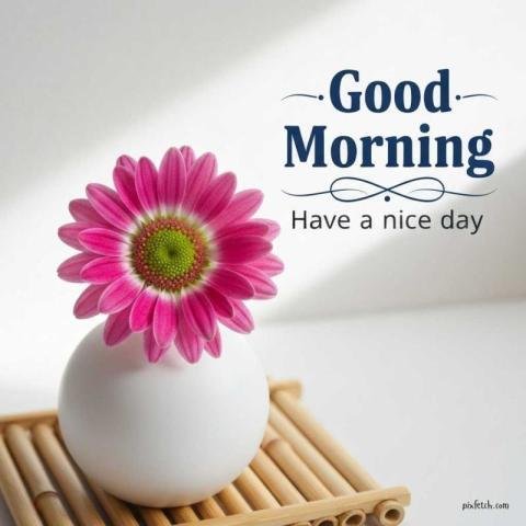 Beautiful good morning images for whatsapp