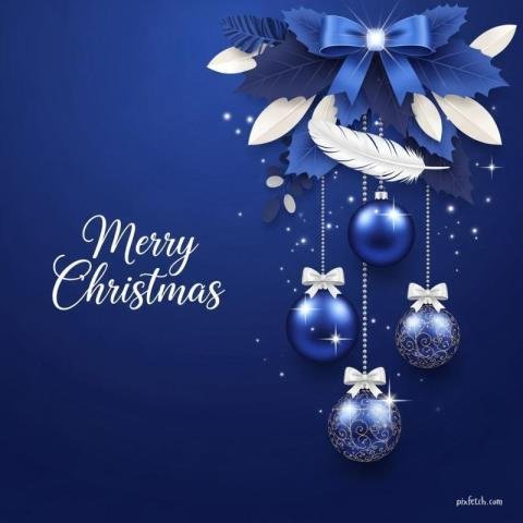 Elegant minimalist Christmas greeting card wishes