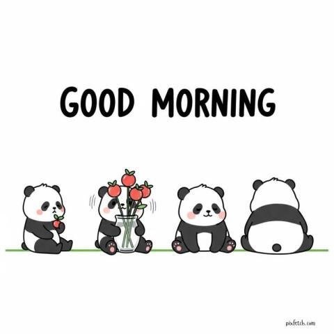 Minimalistic cartoon illustration of pandas with good morning wishes