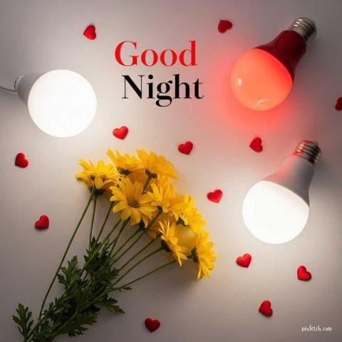 Small bouquet of bright yellow daisy flowers with Good night wishes