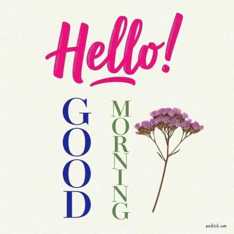 Good morning image with floral greeting card