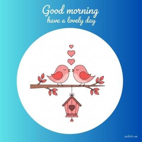 Romantic good morning illustration with birds
