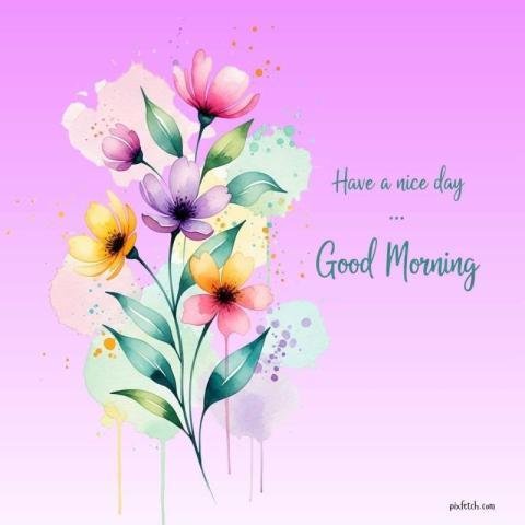 Good morning 4k hd images free download