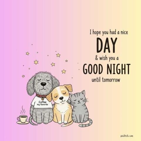 Beautiful good night photo