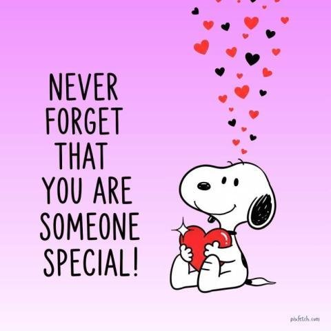 Cute Cartoon life Motivation Quote