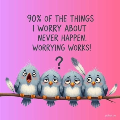 Cute Birds Motivation Quote Image