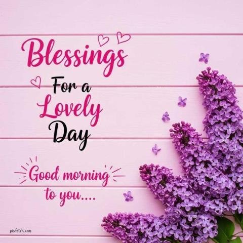 Romantic Good Morning greeting flat lay design with a pastel pink floral theme