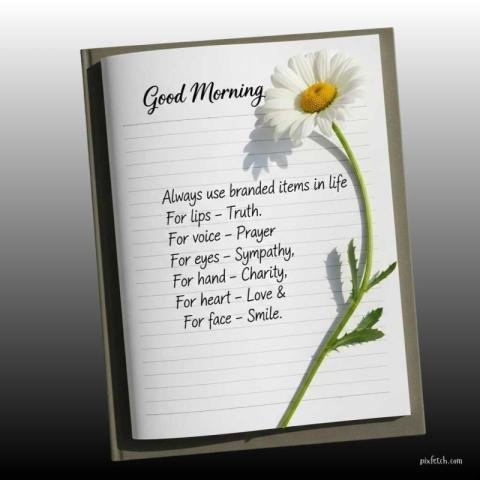 Good Morning with fresh white daisy flower and quotes