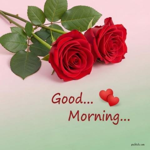 Beautiful good morning images for WhatsApp