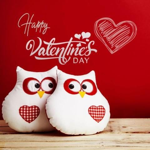 Happy Valentine's Day wishes